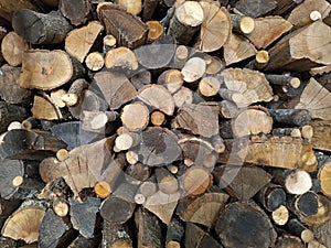 Pile of wood logs.  Warm background photo