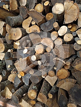 Pile of wood logs.  Warm background photo