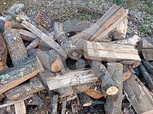 Pile of wood logs.  Warm background photo