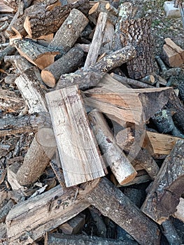 Pile of wood logs.  Warm background photo