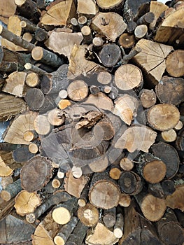 Pile of wood logs.  Warm background photo