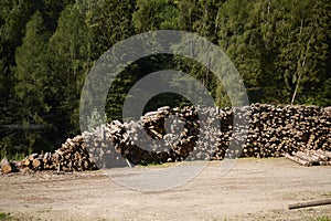 Pile of wood near the railway