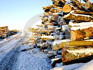 Pile of Wood on Road in Winter