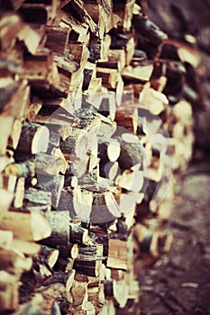 Pile of wood stored photo
