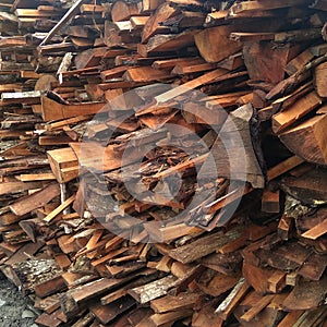 Pile of wood waste for feedstock