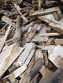 pile of wood waste rubbish