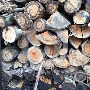 A pile of Wooden Cut Logs,