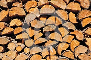 Pile of wooden logs, sawn ends view