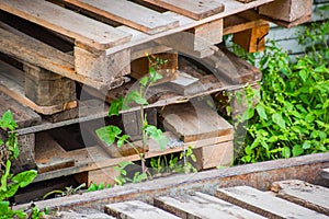 A pile of wooden pallet dumped in the grass