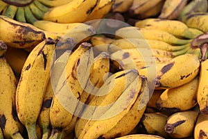 Pile of yellow bananas, fresh healthy food