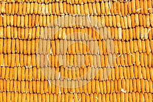 Pile of yellow corn cob