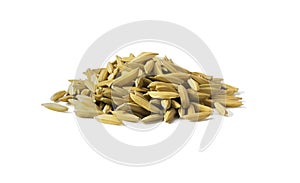 Pile of yellow gold rice. Close up of long paddy rice grains can use for background and texture. Macro of sample natural rice