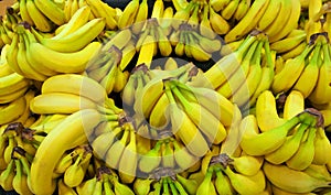 Pile of Yellow and Green Bananas in a Grocery Store Setting