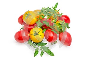 Pile of yellow and red tomatoes with twigs