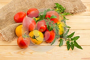 Pile of yellow and red tomatoes with twigs and leaves