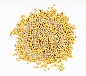 Pile of yellow seeds of brassica juncea mustard