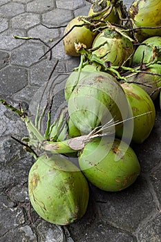 Pile of young coconuts on the floor