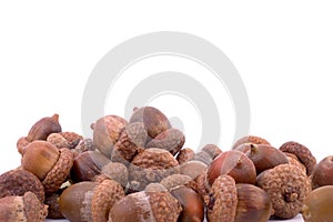 Piled acorns photo