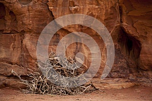 Piled firewood