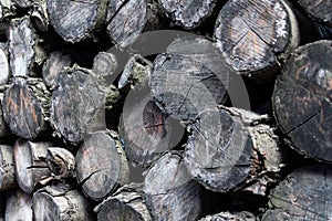 Piled Timber, timber logs, firewood