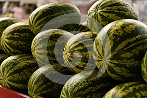Piled Watermelons Ready for Sale