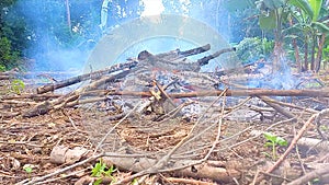 Piles Of Burning Wood And Branches In The Garden