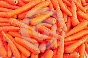 piles of carrots