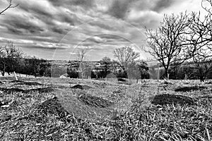 Piles of clay dug by the Mole