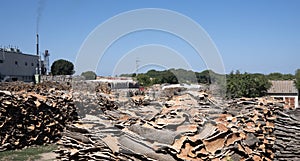 Piles of Cork Oak bark