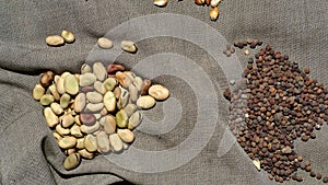 Piles of dried beans and grain