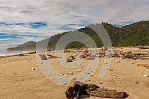 Piles of driftwood washed ashore after a storm at sea on the West Coast of the South Island, New Zealand