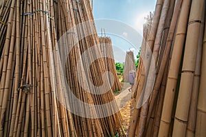 Piles of dry bamboo in tradional craft village in Vietnam