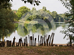 Piles of fence on bank of the lake