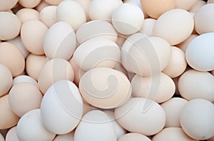 piles of fresh eggs