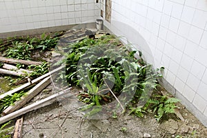 Piles of garbage and construction material left in abandoned industrial complex building with grass and plants growing from floor