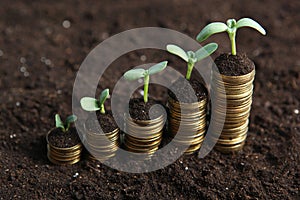 Piles of gold coins in the ground and green fresh sprouts.