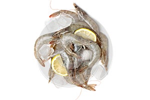 Piles of gray raw shrimp with ice on white background, top view.