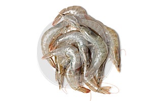 Piles of gray raw shrimp on on white background, top view