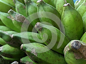 Piles of green bananas are sold in the local Indonesian market. Banana branch at the market. files 2