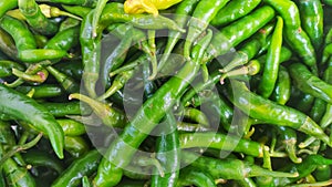 piles of green lompong chilies sold in traditional markets