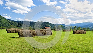 Piles of hay at mountains