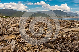 Piles and piles of driftwood washed ashore after a storm at sea on the West Coast of the South Island, New Zealand