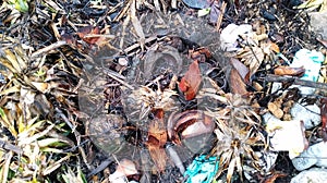 piles of rubbish in a dirty environment