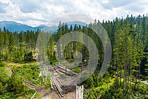 Piles of sawn logs in beautiful Low Tatras alpine landscape. Majestic pine trees of Tatra mountains near Zakopane, Poland