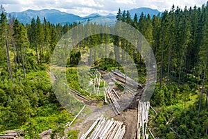 Piles of sawn logs in beautiful Low Tatras alpine landscape. Majestic pine trees of Tatra mountains near Zakopane, Poland