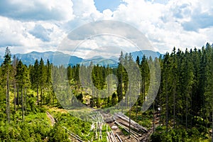 Piles of sawn logs in beautiful Low Tatras alpine landscape. Majestic pine trees of Tatra mountains near Zakopane, Poland