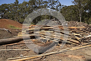 Piles of scrap wood at a small sawmill.