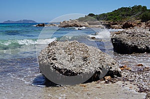 Piles of seaweeds on the beach in Sardinia.