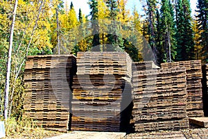 Piles of swamp mats used to build temporary roads