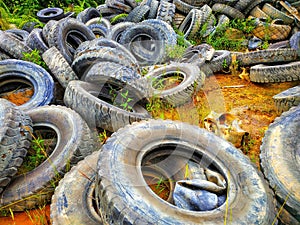 piles of used tires for heavy equipment units are placed in natural fields